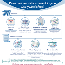 Spanish The Path to Become an Oral and Maxillofacial Surgeon Infographic PDF (Pasos para convertirse en un Cirujano Oral y Maxilofacial)