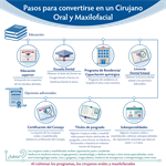 Spanish The Path to Become an Oral and Maxillofacial Surgeon Infographic PDF (Pasos para convertirse en un Cirujano Oral y Maxilofacial)