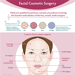 Facial Cosmetic Surgery Infographic (PDF)